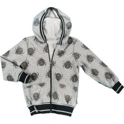 Mmdadak Bluza Chłopięca Robak 110 Szara. Bluzy dla chłopców marki Mmdadak. Za 53.00 zł.