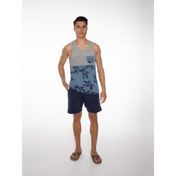 Szorty do joggingu męskie PROTEST Carver. Niebieskie krótkie spodenki sportowe męskie Protest, m, bez wzorów, do biegania. Za 199.99 zł.