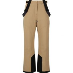 Spodnie narciarskie dla kobiet Whistler Drizzle Pro. Szare spodnie materiałowe damskie Whistler, bez wzorów. Za 319.99 zł.