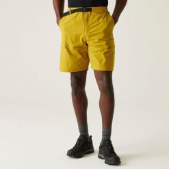 Męskie spodenki Mallen. Brązowe krótkie spodenki sportowe męskie Regatta, m, bez wzorów, z tkaniny, trekkingowe. Za 173.00 zł.