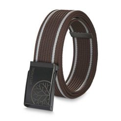 Pasek parciany BETLEWSKI PRC-07_GR-3 XL brązowy. Brązowe paski damskie Betlewski, bez wzorów, z materiału. Za 34.99 zł.