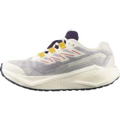 Damskie buty sportowe Salomon AERO BLAZE 3 GRVL GTX W L47974100. Brązowe obuwie sportowe damskie Salomon, bez wzorów, z gore-texu, do biegania. Za 453.16 zł.