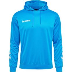 Bluza do piłki ręcznej męska Hummel hml PROMO Poly z kapturem. Niebieskie bluzy męskie Hummel, m, bez wzorów, z kapturem, do piłki ręcznej. Za 152.50 zł.