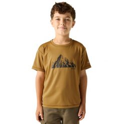 T-shirt Dziecięca Z Nadrukiem Na Plecach Alvarado. Brązowe t-shirty dla chłopców Regatta, bez wzorów, z materiału, bez ramiączek. Za 54.99 zł.