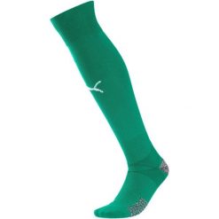Legginsy męskie Puma Teamfinal 21. Żółte legginsy sportowe męskie Puma, m, bez wzorów, z materiału, na fitness i siłownię. Za 190.00 zł.