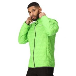 Męska Kurtka Przejściowa Pikowana + Worek Hillpack. Zielone kurtki męskie Regatta, m, bez wzorów, z materiału, eleganckie, bez kaptura. Za 67.99 zł.