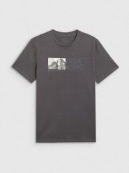 4F T-shirt regular z nadrukiem męski - szary L. Szare t-shirty męskie 4f, l, bez wzorów, z bawełny, bez kołnierzyka. Za 59.99 zł.