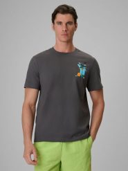 4F T-shirt regular z nadrukiem męski - szary XL. Szare t-shirty męskie 4f, m, bez wzorów, z bawełny, klasyczne, bez kołnierzyka. Za 69.99 zł.
