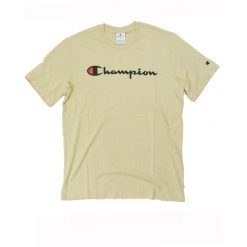 Koszulka męska Champion SS Tee. Brązowe koszulki sportowe męskie Champion, m, bez wzorów, bez kołnierzyka, bez ramiączek. Za 85.00 zł.