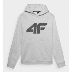 Bluza Męska 4F. Szare bluzy męskie 4f, m, bez wzorów, bez kaptura. Za 179.99 zł.
