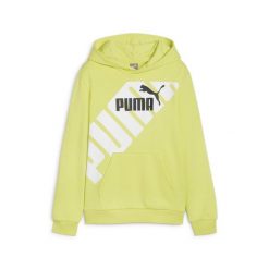 Młodzieżowa bluza z kapturem i nadrukiem PUMA POWER PUMA Lime Sheen Green. Zielona bluzy męskie Puma, m, bez wzorów, z kapturem. Za 212.70 zł.