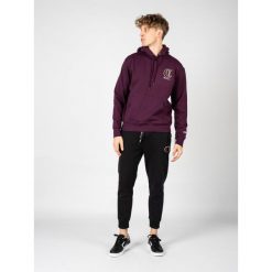 Bluza trekking męska Hoodie. Fioletowe bluzy męskie Champion, m, bez wzorów, z bawełny, z kapturem. Za 208.00 zł.