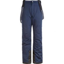Spodnie narciarskie Whistler Gippslang 15000. Niebieskie spodnie snowboardowe męskie Whistler, m, bez wzorów, z elastanu, narciarskie. Za 399.99 zł.