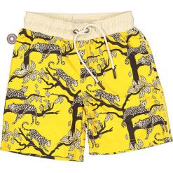 Szorty kąpielowe "Wild Thing" w kolorze żółtym. Kąpielówki dla chłopców marki 4 Funky Flavours Kids. W wyprzedaży za 77.95 zł.