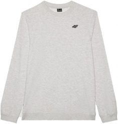 4f BLUZA SPOROTWA MĘSKA DRESOWA BAWEŁNIANA NA CO DZIEŃ. Bluzy męskie 4f, m, bez wzorów, z bawełny, bez kaptura. Za 99.00 zł.