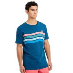 Koszulka męska Protest PRTEXMOUTH t-shirt. Niebieskie koszulki sportowe męskie Protest, l, bez wzorów, z bawełny, bez kołnierzyka, bez ramiączek, trekkingowe. Za 179.99 zł.