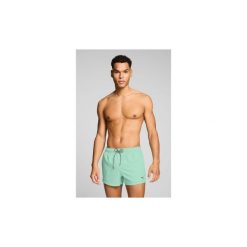 Kąpielówki Męskie - krótkie spodenki - Mint Jelly. Zielone krótkie spodenki sportowe męskie Puma, m, bez wzorów, z tkaniny, do pływania. Za 199.60 zł.