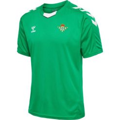 Koszulka piłkarska z krótkim rękawem męska Hummel Core XK Poly Jersey S/S. Zielone koszulki sportowe męskie Hummel, m, bez wzorów, z jersey, bez kołnierzyka, bez ramiączek, do piłki nożnej. Za 84.00 zł.