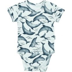 NICOL Body niemowlęce wyprawka krótki rękaw Delfin Nicol 68. Body niemowlęce NICOL, bez wzorów, bez ramiączek. Za 33.99 zł.