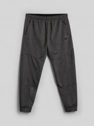 4F Spodnie treningowe szybkoschnące męskie - szare S. Szare spodnie sportowe męskie 4f, m, bez wzorów. Za 179.99 zł.