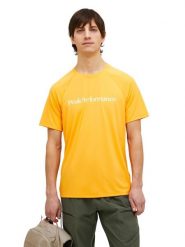 Koszulka Peak Performance męska Active Tee pomarańczowa - XXL. Brązowe koszulki sportowe męskie Peak Performance, l, bez wzorów, z bawełny, bez kołnierzyka, bez ramiączek, do biegania. Za 189.00 zł.