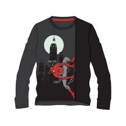 Disney By Arnetta Koszulka Chłopięca Spiderman 98 Szary. T-shirty dla chłopców marki Disney By Arnetta. Za 45.00 zł.