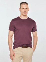 Koszulka męska z kontrastowym wykończeniem bordowa micel 604. Czerwone t-shirty męskie Big Star, l, bez wzorów, z dzianiny, bez kołnierzyka. Za 99.99 zł.
