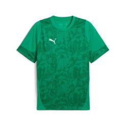 Koszulka Puma Team Cup. Zielone koszulki sportowe męskie Puma, xl, bez wzorów, z materiału, bez kołnierzyka, bez ramiączek, na fitness i siłownię. Za 143.36 zł.