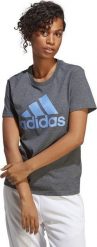 Adidas Koszulka adidas Big Logo Tee IC0634. T-shirty damskie Adidas, bez wzorów, bez kołnierzyka. Za 95.46 zł.