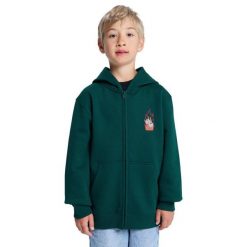Bluza na zamek dla Chłopcy BURNING DICE Zielony. Zielone bluzy dla chłopców DC Shoes, bez wzorów, z bawełny, bez ramiączek, bez kaptura. Za 239.99 zł.