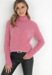 Ciemnoróżowy Golf Wełniany Karle. Czerwone swetry damskie Born2be, xl, bez wzorów, z tkaniny, klasyczne, bez kołnierzyka, bez ramiączek, długie, bez kaptura. Za 29.99 zł.