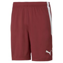Krótka Puma Team Liga. Białe krótkie spodenki sportowe męskie Puma, bez wzorów, do piłki nożnej. Za 134.26 zł.