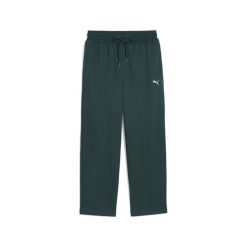 Męskie spodnie dresowe PUMA Class o luźnym kroju z zaszewkami PUMA Green Terrain. Zielone spodnie sportowe męskie Puma, m, bez wzorów, z dresówki, do biegania. Za 269.00 zł.