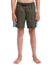 Szorty kąpielowe dla Chłopcy EVERYDAY HOLMES 14" Brązowy. Zielone szorty dla chłopców Quiksilver, bez wzorów, z materiału. Za 132.35 zł.