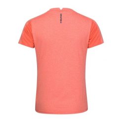 T-Shirt damski PADEL Tech. Brązowe t-shirty damskie Head, s, bez wzorów, z jersey, sportowe, bez kołnierzyka. Za 237.70 zł.