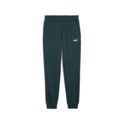 Męskie spodnie dresowe Essentials z dwukolorowym logo No. 1 PUMA Green Terrain. Zielone spodnie sportowe męskie Puma, m, bez wzorów, z dresówki, do biegania. Za 199.00 zł.