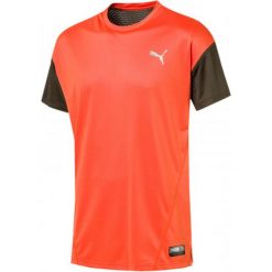 Puma A.C.E. Ss Tee Firecracker Forest Night Xxl. Koszulki sportowe męskie marki Puma. W wyprzedaży za 75.00 zł.