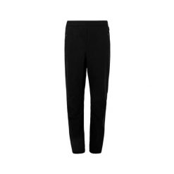 Spodnie turystyczne dla kobiet Regatta Pentre Stretch II. Czarne spodnie sportowe damskie Regatta, bez wzorów, trekkingowe. Za 179.99 zł.