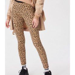 Legginsy w panterkę - Wielobarwn. Szare legginsy damskie Sinsay, l, bez wzorów. W wyprzedaży za 19.99 zł.