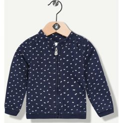 Bluza w kolorze granatowym. Bluzy dla dziewczynek marki Grain de blé et Lisa Rose. W wyprzedaży za 39.95 zł.