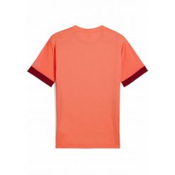 Męska koszulka do padla z grafiką INDIVIDUAL PUMA Glowing Red. Czerwone koszulki sportowe męskie Puma, l, bez wzorów, bez kołnierzyka, bez ramiączek. W wyprzedaży za 104.00 zł.