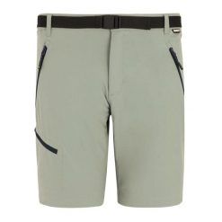 Męskie Spodenki Xert Stretch Shorts. Brązowe krótkie spodenki sportowe męskie Regatta, m, bez wzorów, trekkingowe. Za 222.99 zł.