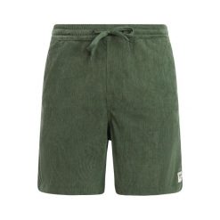Protest PRTUleyo shorts - Thyme. Zielone szorty męskie Protest, m, bez wzorów. Za 290.50 zł.