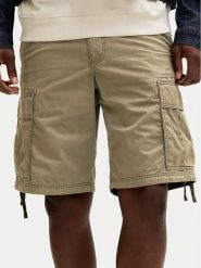 Jack & Jones Szorty materiałowe Cole Frank 12291369 Zielony Regular Fit. Zielone szorty męskie Jack & Jones, m, bez wzorów, z bawełny. Za 159.99 zł.