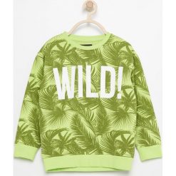 Bluza z tropikalnym motywem - Zielony. Bluzy dla chłopców Reserved. W wyprzedaży za 19.99 zł.