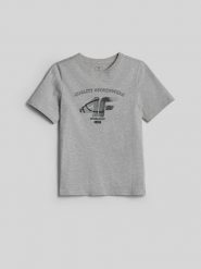4F Хлопчачий t-shirt regular з принтом - сірий 122. T-shirty damskie 4f, bez wzorów, z jersey, bez kołnierzyka. Za 459.90 zł.
