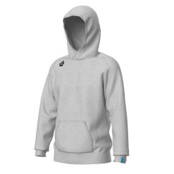 Bluza z kapturem Arena Team Panel. Niebieskie bluzy męskie Arena, m, bez wzorów, z bawełny, z kapturem. Za 289.99 zł.