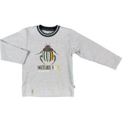 Mmdadak Bluzka Chłopięca Robak 104 Szara. T-shirty dla chłopców marki Mmdadak. Za 33.00 zł.
