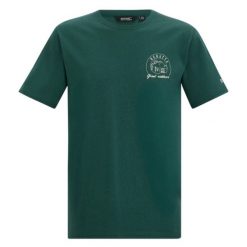 T-shirt Męski Z Motywem Wschodu Słońca Cline IX. Zielone koszulki sportowe męskie Regatta, m, bez wzorów, bez kołnierzyka, bez ramiączek, trekkingowe. Za 67.99 zł.