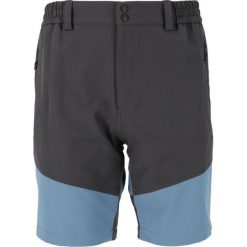 Szorty Whistler Avian. Niebieskie krótkie spodenki sportowe męskie Whistler, bez wzorów, trekkingowe. Za 275.50 zł.